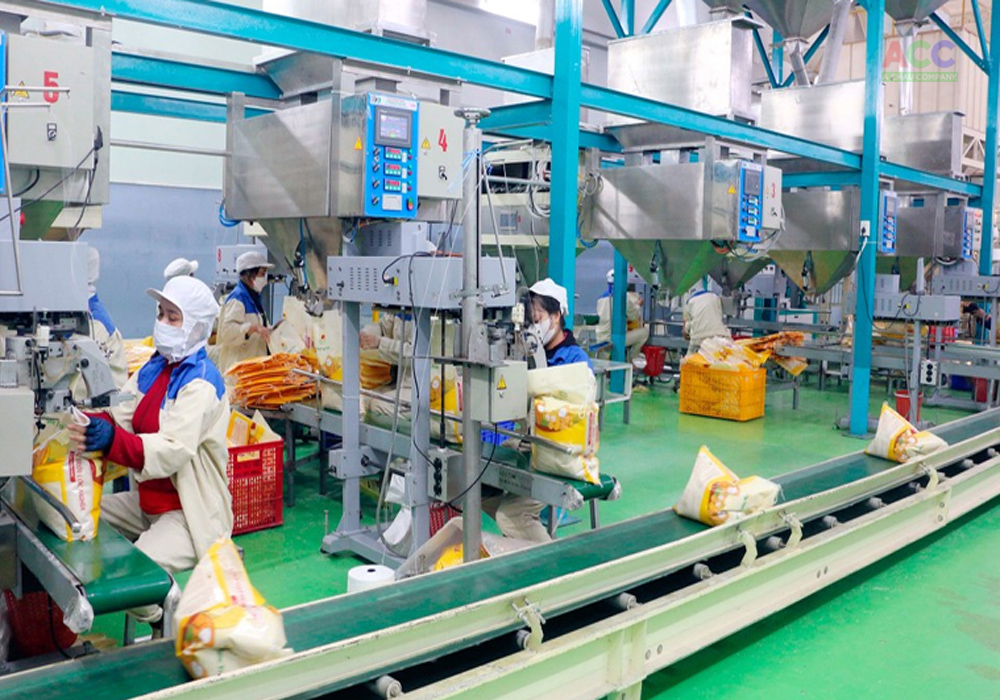 Dự án hệ thống kho, bến bãi nông sản Thường Phước